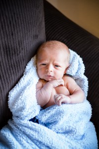 Newborn Photos for Website-4