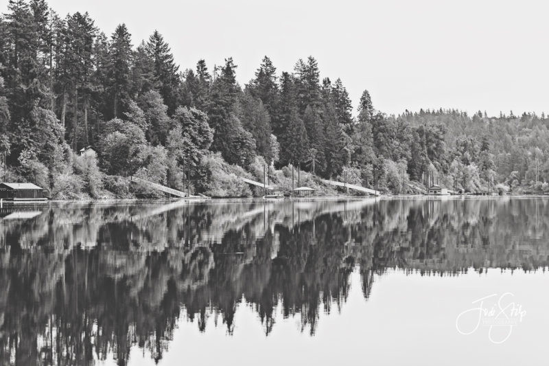 Reflections on the Willamette River